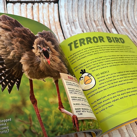 National Geographic: Angry Birds - Picture 7 of 8